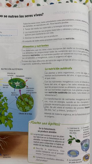 Biología y geología 1°ESO