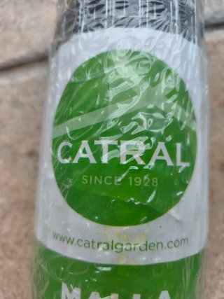 Malla Metálica Cuadrada Verde