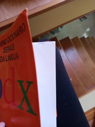 Pequeno dicionario Xerais da lingua.