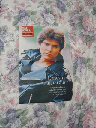 Ernesto Laguardia telenovela