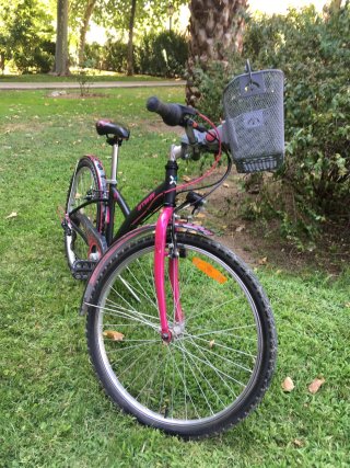 Bicicleta BTWIN Niña 24