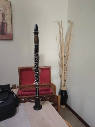 Clarinete Profesional 77