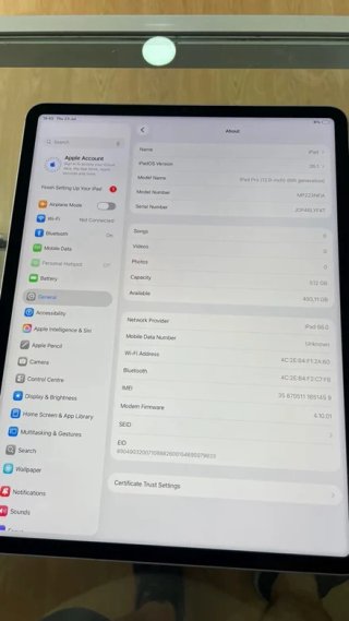 iPad Pro 12.9 6th Gen 512GB Gris Wifi+Cel
