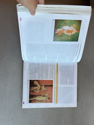 Libro bachillerato historia del arte