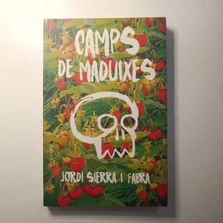 Camps de maduixes