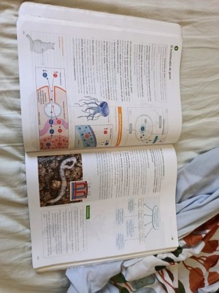 Bioloxía, Xeoloxía e Ciencias Ambientais 1.
