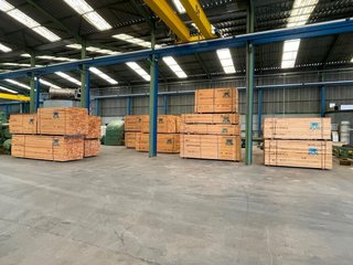 Stock Madera Tropical