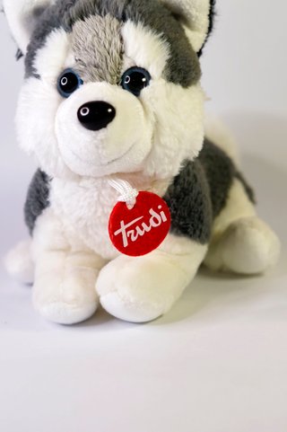 Peluche Trudi Husky Marcus • Peluche Perro