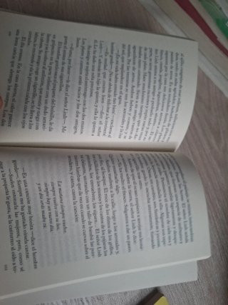 La nieta del señor Linh