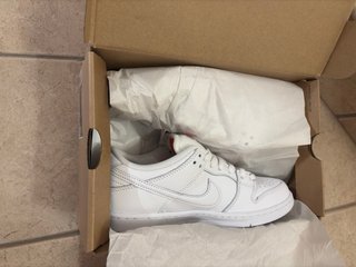 Nike SB Dunk Low Triple White
