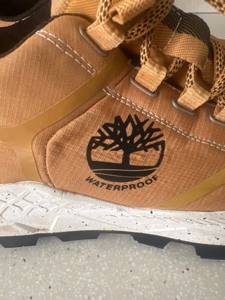 Zapatos Timberland Hombre Talla 41