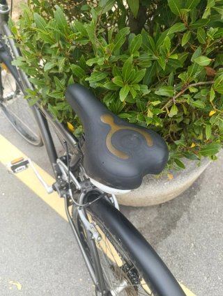 Pack 3 Bicicletas