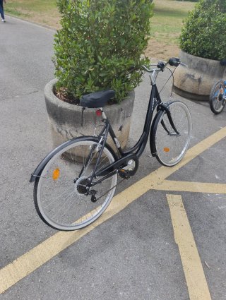 Pack 3 Bicicletas