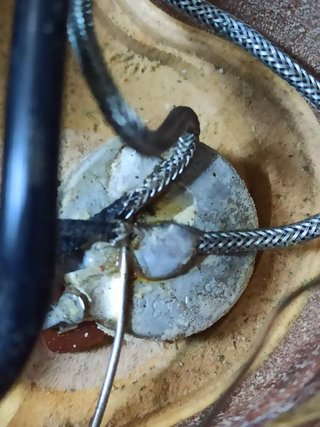 Gibson Les Paul Deluxe Tricorn 1971-73