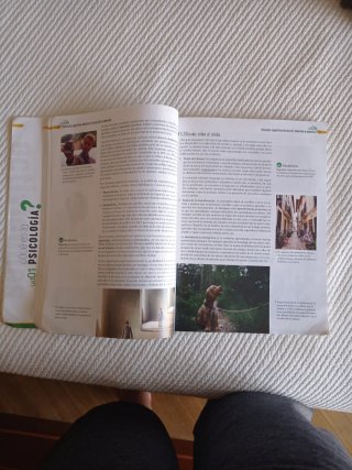 Libro texto