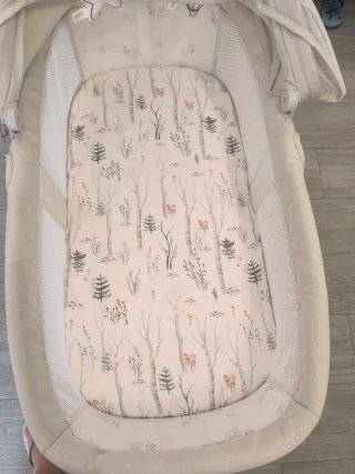 Cuna de bebé con mosquitera