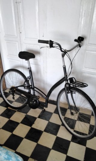 Bicicleta holandesa talla xl  de 28 pulgadas