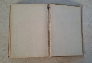 Libro 1917: Guida Pratica Meccanico Moderno Hoepli