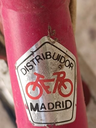 Bicicleta BH infantil