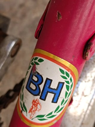 Bicicleta BH infantil