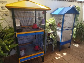 Jaula para pájaros azul