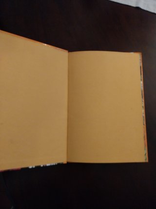 Nun’Álvares Pereira, História Júnior, livro Ediçõe