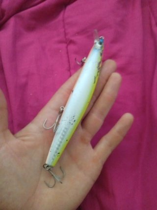 Señuelo Rapala para lubina
