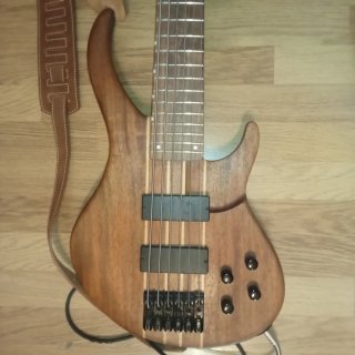 Bajo Peavey 6.