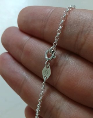 Preciosa Cadena Rolo Micro 45cm Plata De Ley 925