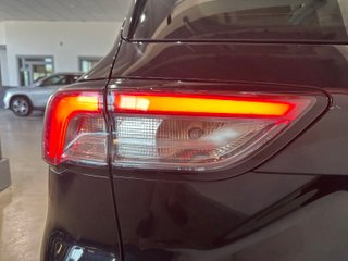 Ford KUGA Titanium 2.5 Duratec FHEV 140kW Auto (2022)