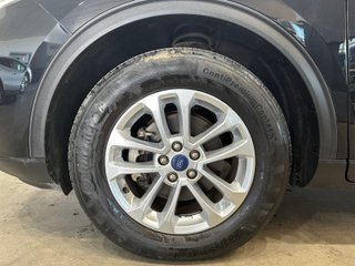 Ford KUGA Titanium 2.5 Duratec FHEV 140kW Auto (2022)