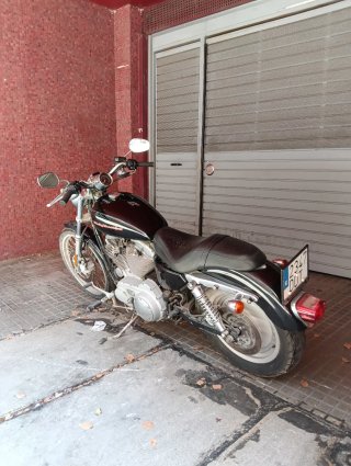 Harley Davidson sportster 883 custom
