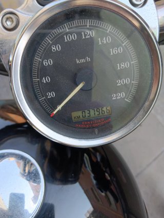Harley Davidson sportster 883 custom
