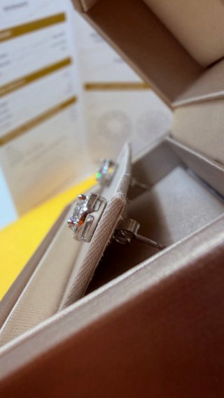 Orecchini Moissanite Halo 0.5 ct GRA
