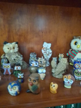 Lote Colección Búhos Decorativos