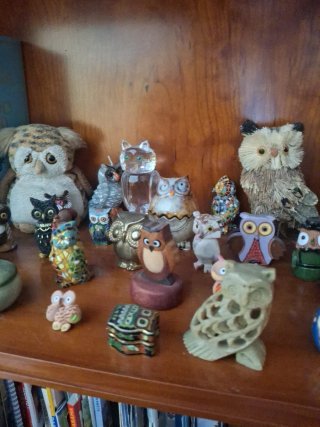 Lote Colección Búhos Decorativos