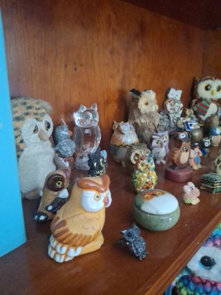 Lote Colección Búhos Decorativos