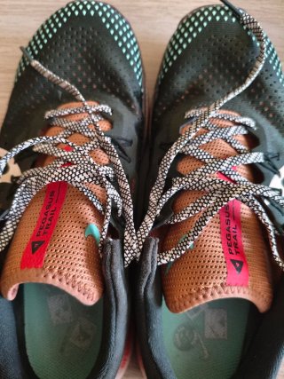 Zapatillas Nike Pegasus Trail 4 Talla 40
