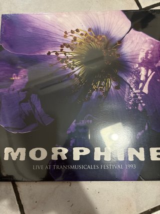 Morphine - Live at Transmusicales Festival 1993