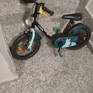 Bico niño