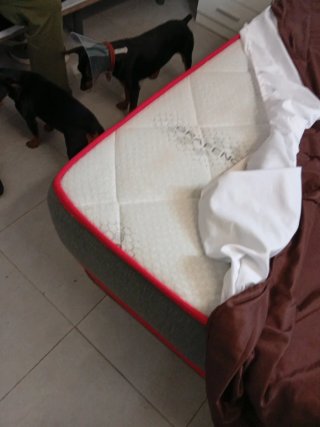 Set de camas