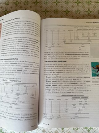 Lengua castellana y literatura 1, Le Bachillerato