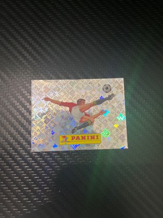 Cromo Panini Fútbol Mundial