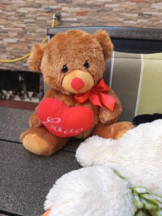 Lote peluche