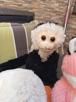 Lote peluche