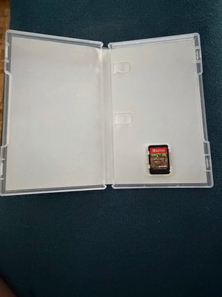 Minecraft Nintendo Switch