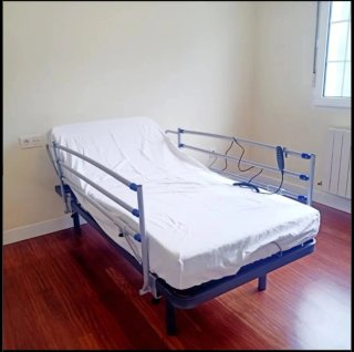 Cama eléctrica profesional con colchón