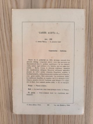 5 Láminas Botánica Francesa S.XIX
