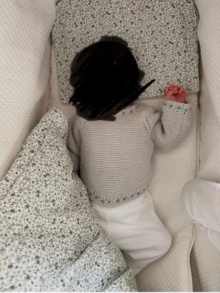 Vestidura Capazo Bugaboo Fox