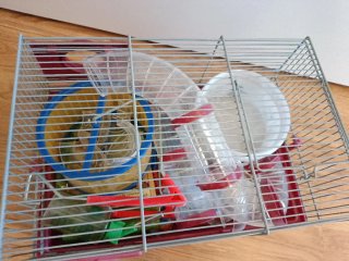 Lote de bienvenida completo para Hamster